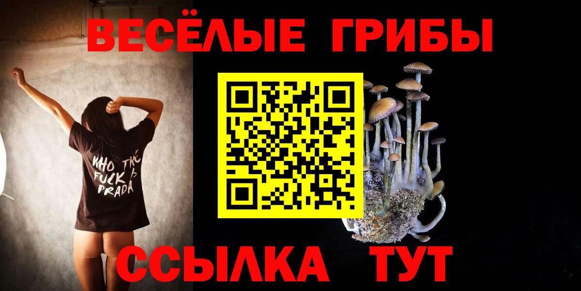 Галлюциногенные грибы Cubensis  Вход с VPN  купить наркоту  Псилоцибиновые грибы Cubensis  Тюмень 