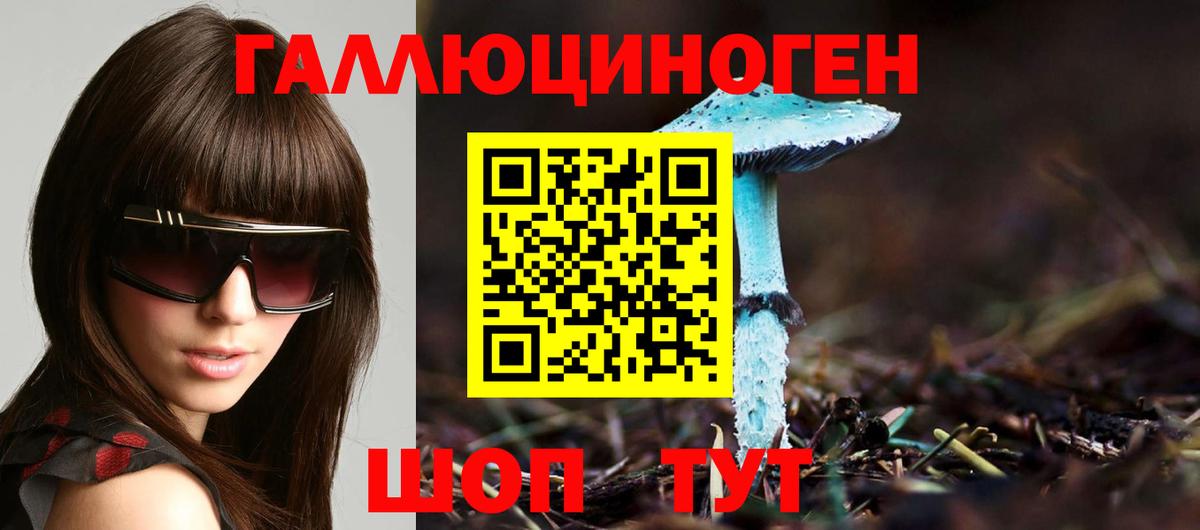 Псилоцибиновые грибы Psilocybe Тюмень